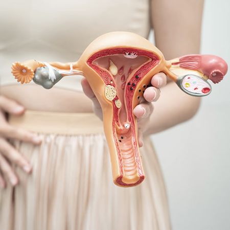 DSGVZ: Dysplasie-Sprechstunde